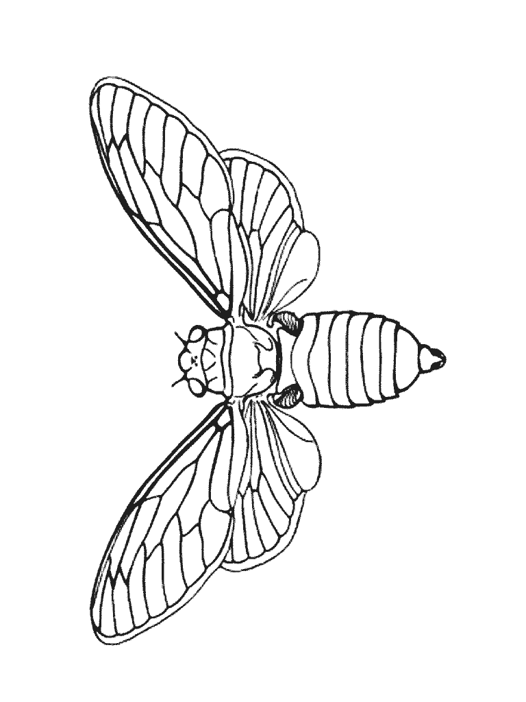 Pszczoły kolorowanki